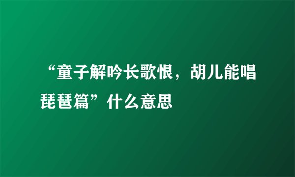 “童子解吟长歌恨，胡儿能唱琵琶篇”什么意思