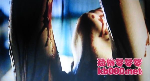 萨满教的迷恋的介绍