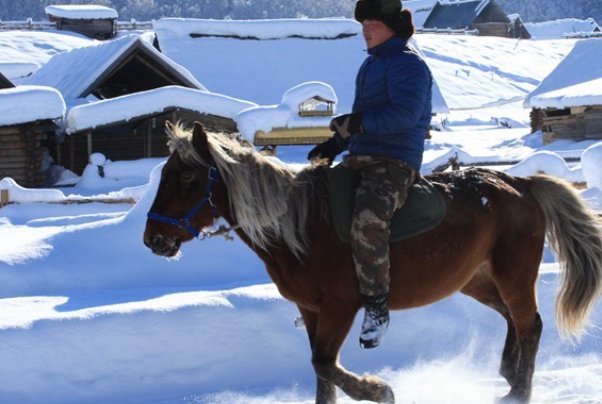 为什么是拍马屁，而不是拍猪屁，拍狗屁？