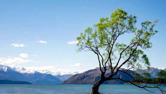 去新西兰旅游大概多少钱？