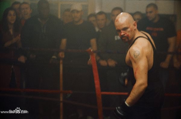 蝎子拳王的影片信息