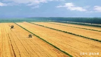 哈尔滨2名村干部遇害，警方的初步调查情况如何？