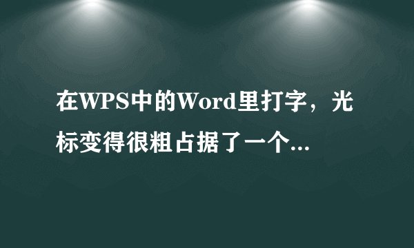 在WPS中的Word里打字，光标变得很粗占据了一个字符的位置，而且当光标放到某一地方时，再按空格键时，却代