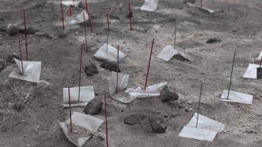 西藏发现8000年前磨制石针，史前这是做什么用的？