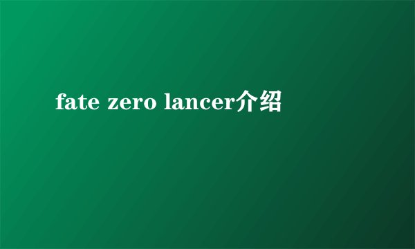 fate zero lancer介绍