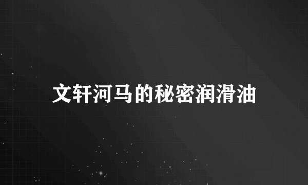 文轩河马的秘密润滑油