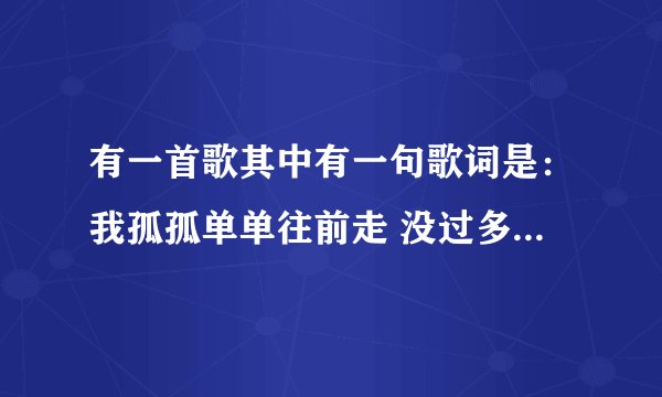 有一首歌其中有一句歌词是：我孤孤单单往前走 没过多久就低下头。 歌名是什么？
