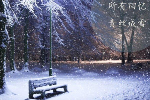 他朝若能共淋雪此生也算共白头前两句是什么？
