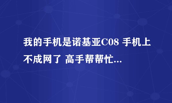 我的手机是诺基亚C08 手机上不成网了 高手帮帮忙 谢谢了