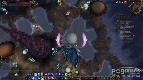 磷光石龙的介绍