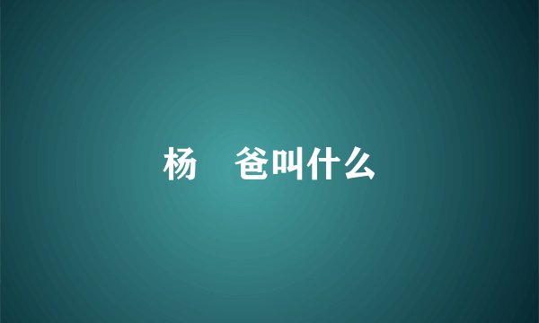 杨玏爸叫什么