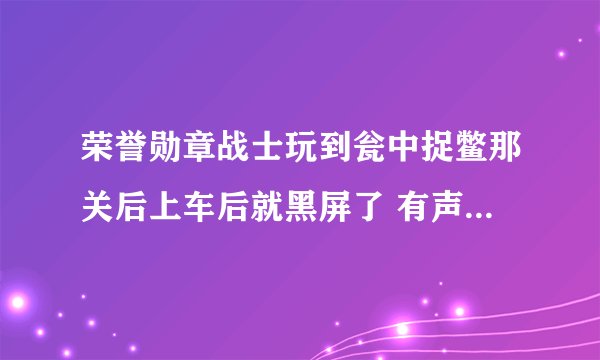 荣誉勋章战士玩到瓮中捉鳖那关后上车后就黑屏了 有声音按空格有跳跃，但就是没画面 窗口化了
