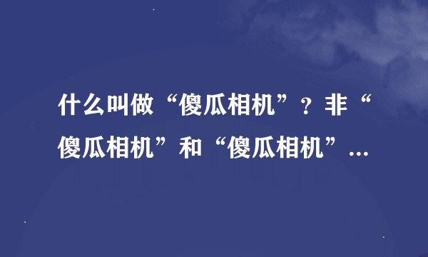 什么叫做“傻瓜相机”？非“傻瓜相机”和“傻瓜相机”的区别是什么？