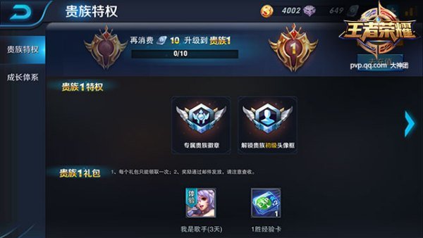 王者荣耀贵族等级有什么用？