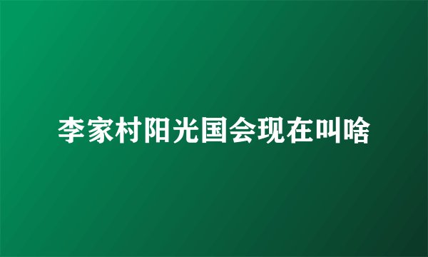 李家村阳光国会现在叫啥