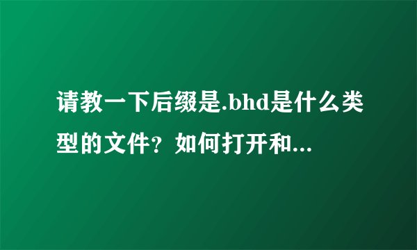 请教一下后缀是.bhd是什么类型的文件？如何打开和使用？感谢！