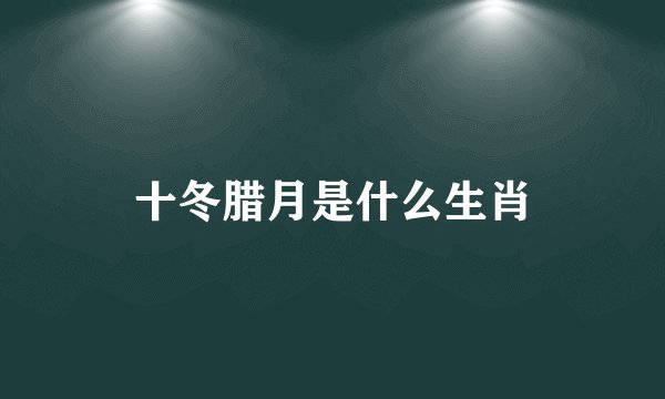 十冬腊月是什么生肖