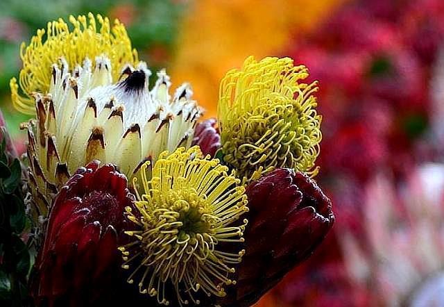 已经拥有哪几样东西的中年人，说明他非龙即凤？