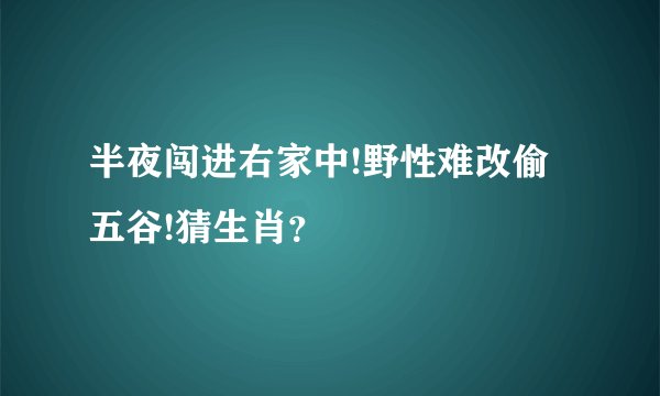 半夜闯进右家中!野性难改偷五谷!猜生肖？
