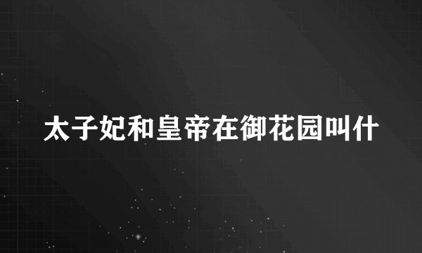 太子妃和皇帝在御花园叫什