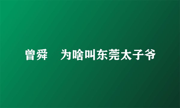 曾舜晞为啥叫东莞太子爷