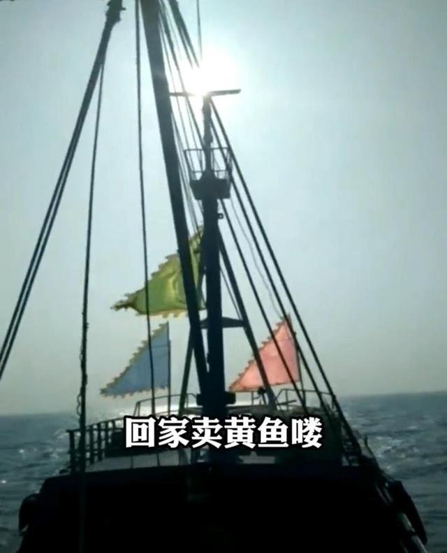 浙江渔民一夜捕捞3000斤黄鱼，这些鱼有多大价值？