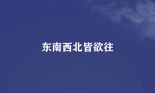 东南西北皆欲往
