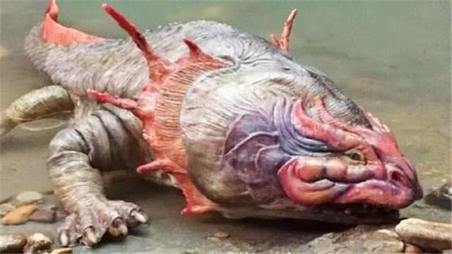 被称“水中大熊猫”的娃娃鱼，它的祖先到底是谁？