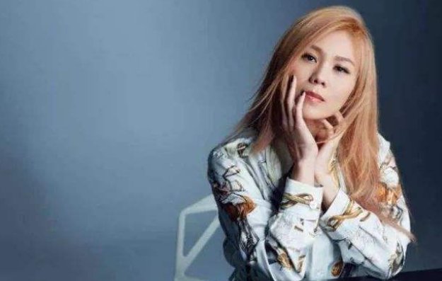 被驯服的象的歌曲歌词