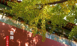 霜降是几月几日2021 2021几月几日是霜降