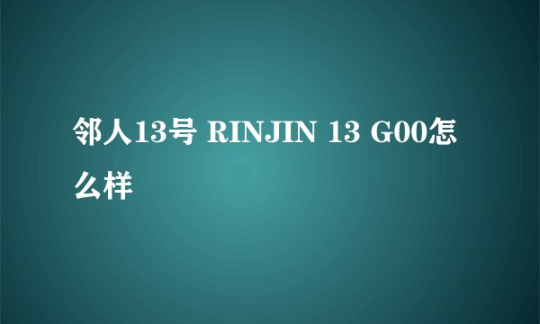 邻人13号 RINJIN 13 G00怎么样
