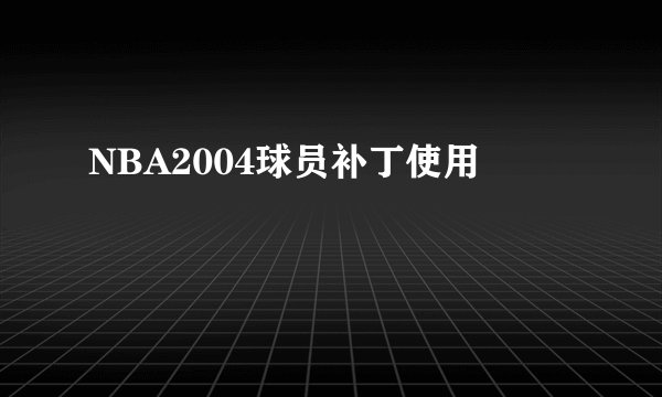 NBA2004球员补丁使用
