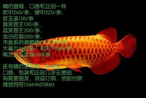 求南京所有副食品批发市场