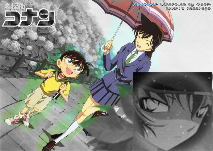 哀的决意的评价