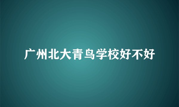 广州北大青鸟学校好不好