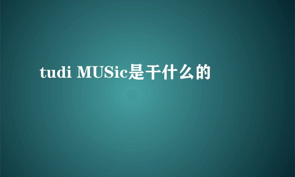 tudi MUSic是干什么的