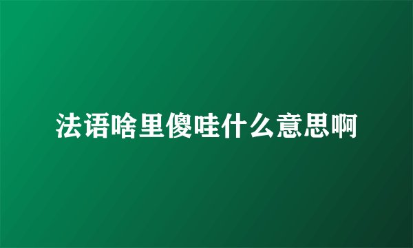 法语啥里傻哇什么意思啊