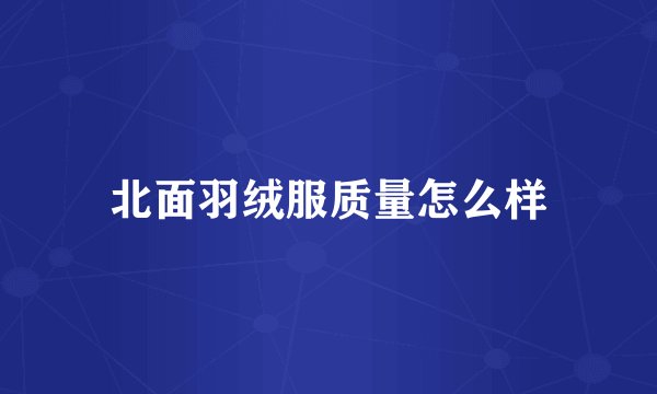 北面羽绒服质量怎么样