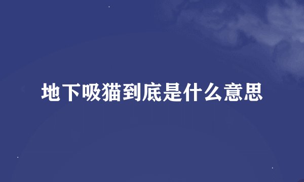 地下吸猫到底是什么意思