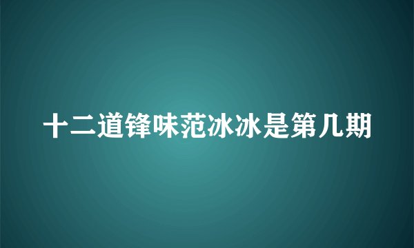 十二道锋味范冰冰是第几期