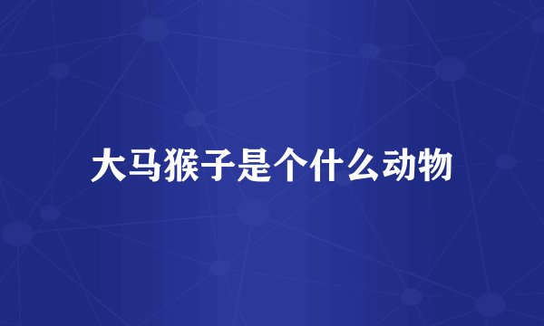 大马猴子是个什么动物