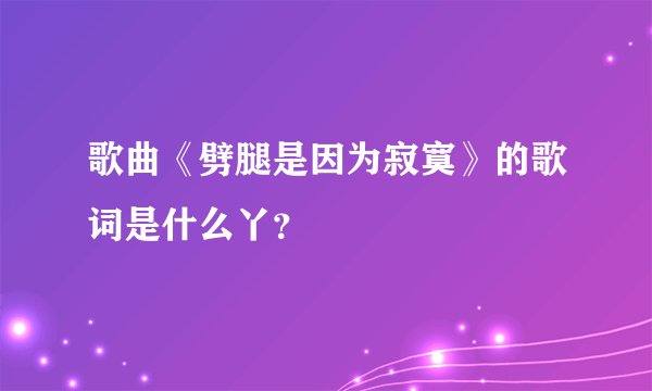 歌曲《劈腿是因为寂寞》的歌词是什么丫？