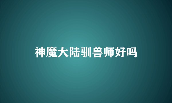 神魔大陆驯兽师好吗