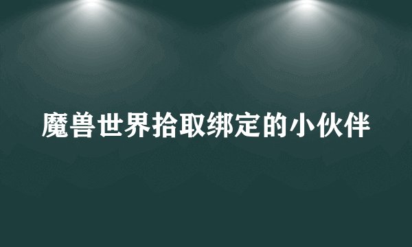 魔兽世界拾取绑定的小伙伴