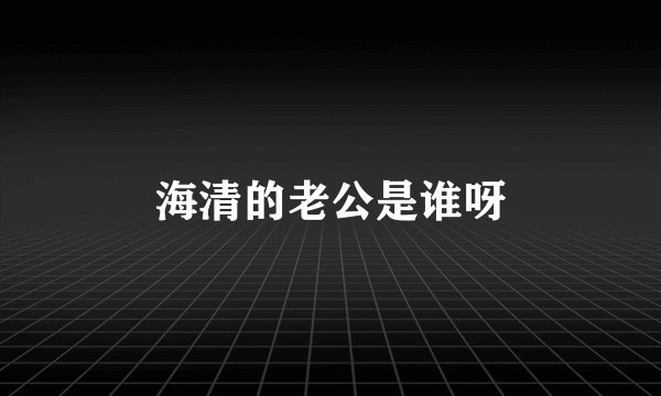 海清的老公是谁呀
