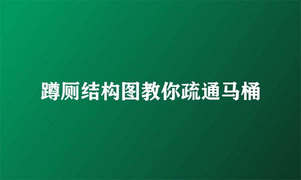 蹲厕结构图教你疏通马桶