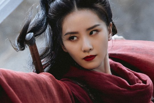 一念关山的小说叫什么