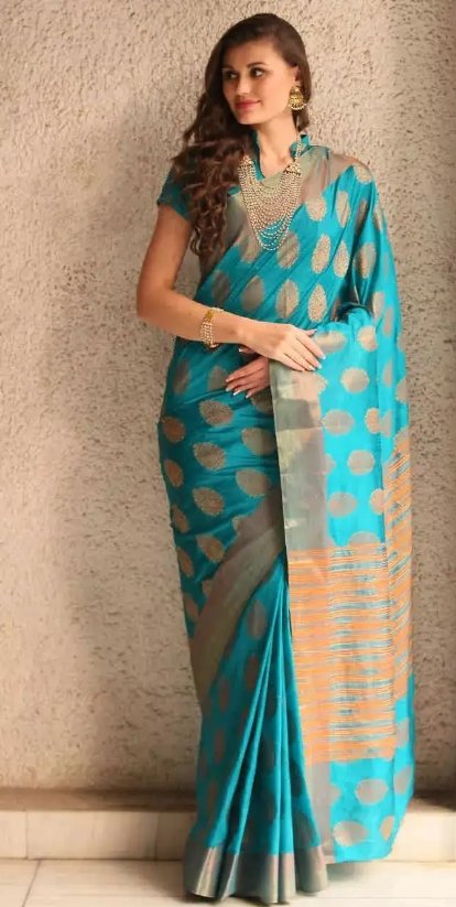 sari怎么读什么意思