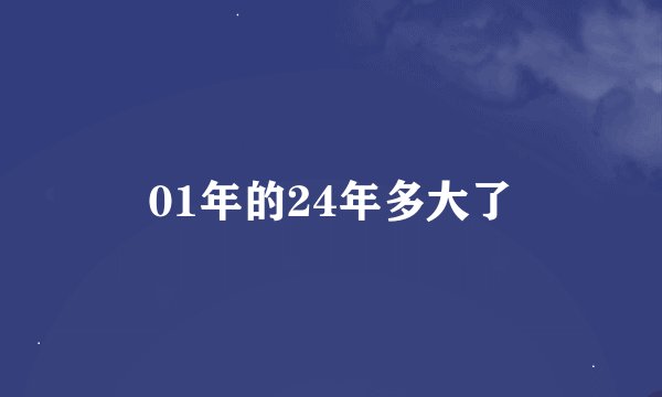 01年的24年多大了