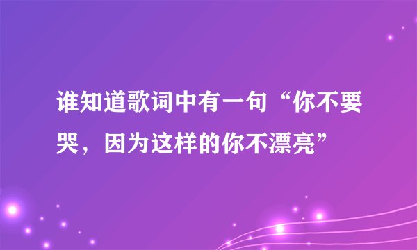 谁知道歌词中有一句“你不要哭，因为这样的你不漂亮”